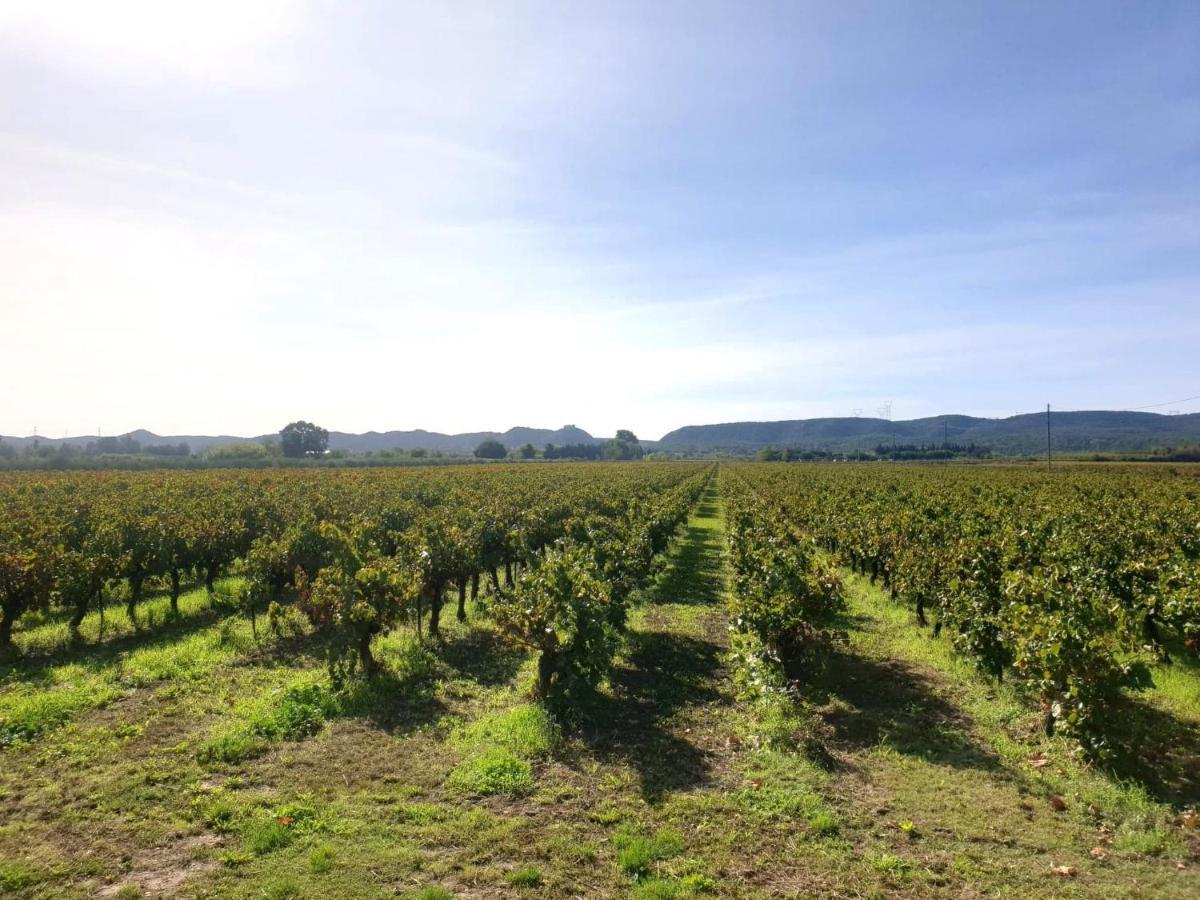 Domaine De Sevanes Saint-Paul-les-Fonts 外观 照片